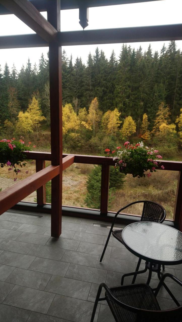 Jezirko Lesni Restaurant & Penzion Jachymov Εξωτερικό φωτογραφία